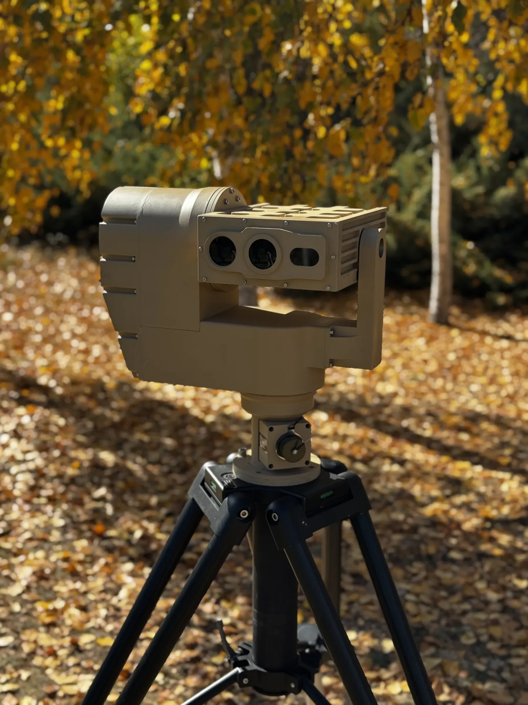 Siyah tripod üzerinde üç pencereli optik başlı çöl rengi PED12 pozisyoner; arkada sarı sonbahar huşları