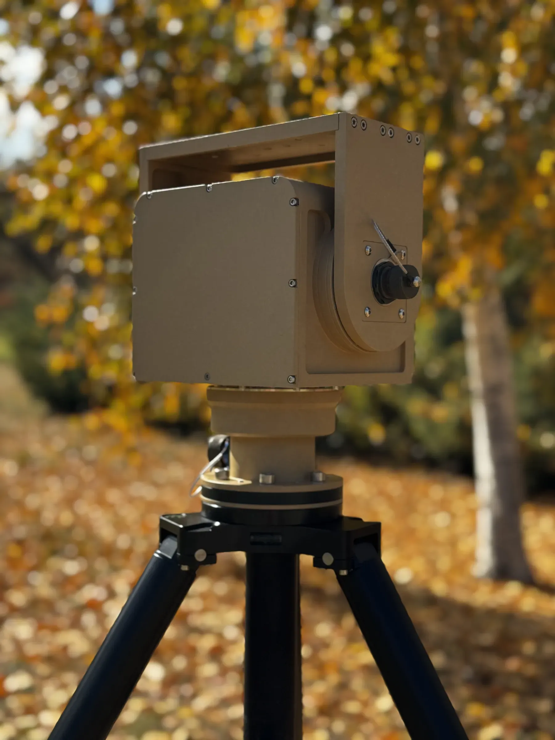 Huş ormanında tripod üzerinde PED08