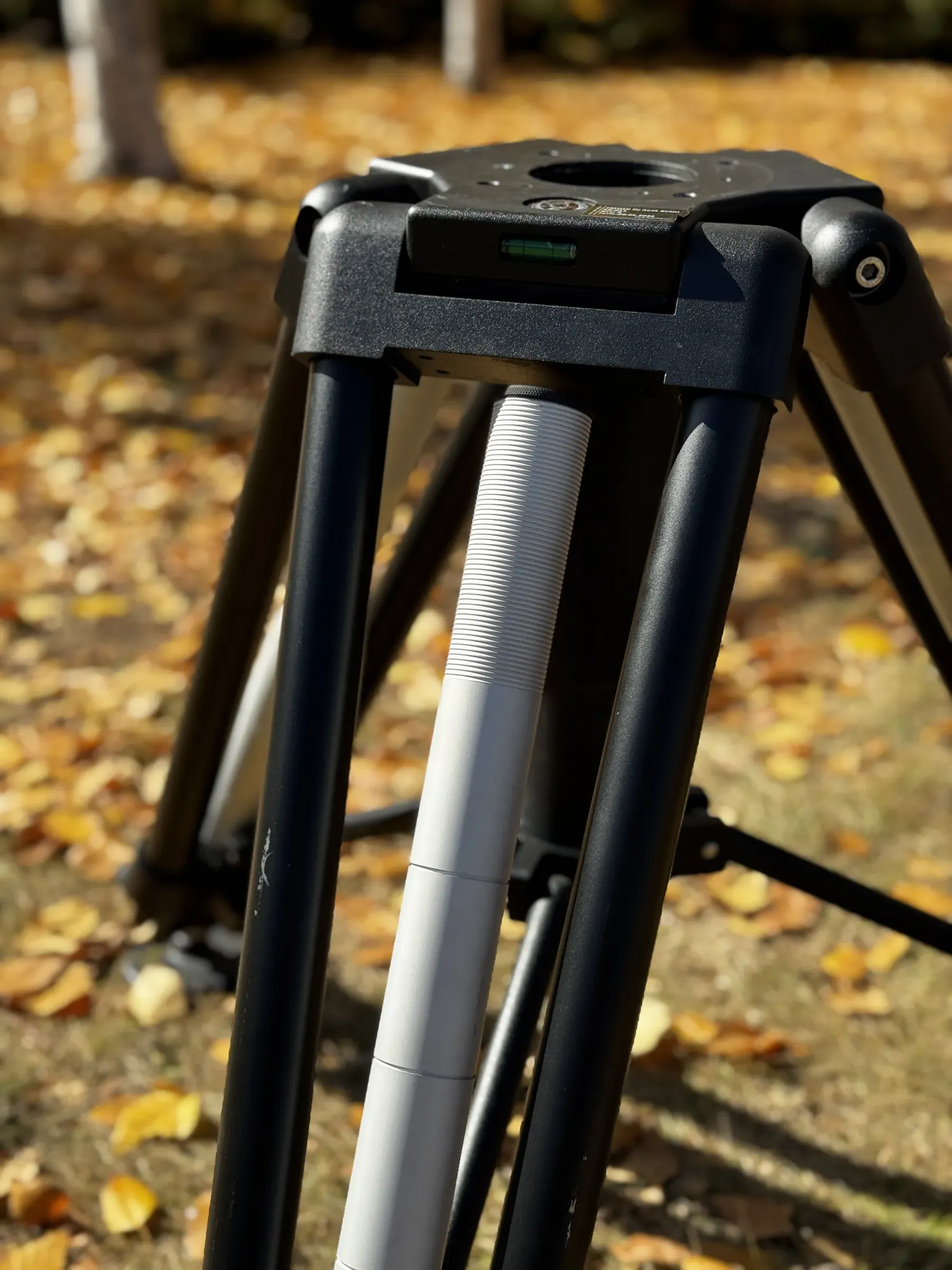 Sonbahar ormanında alttan görünen, merkez kolonu uzatılmış TMH10 tripod başı