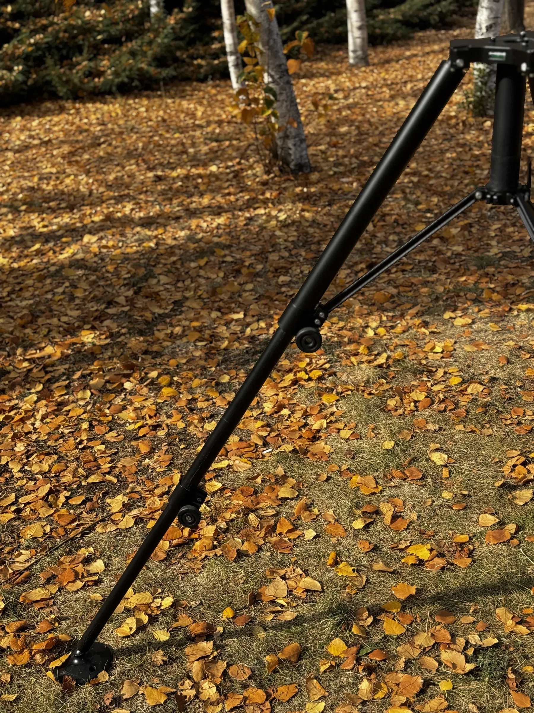 Güneş alan yaprak kaplı zemine uzanan açık bir tripod ayağı boyunca çapraz görünüm