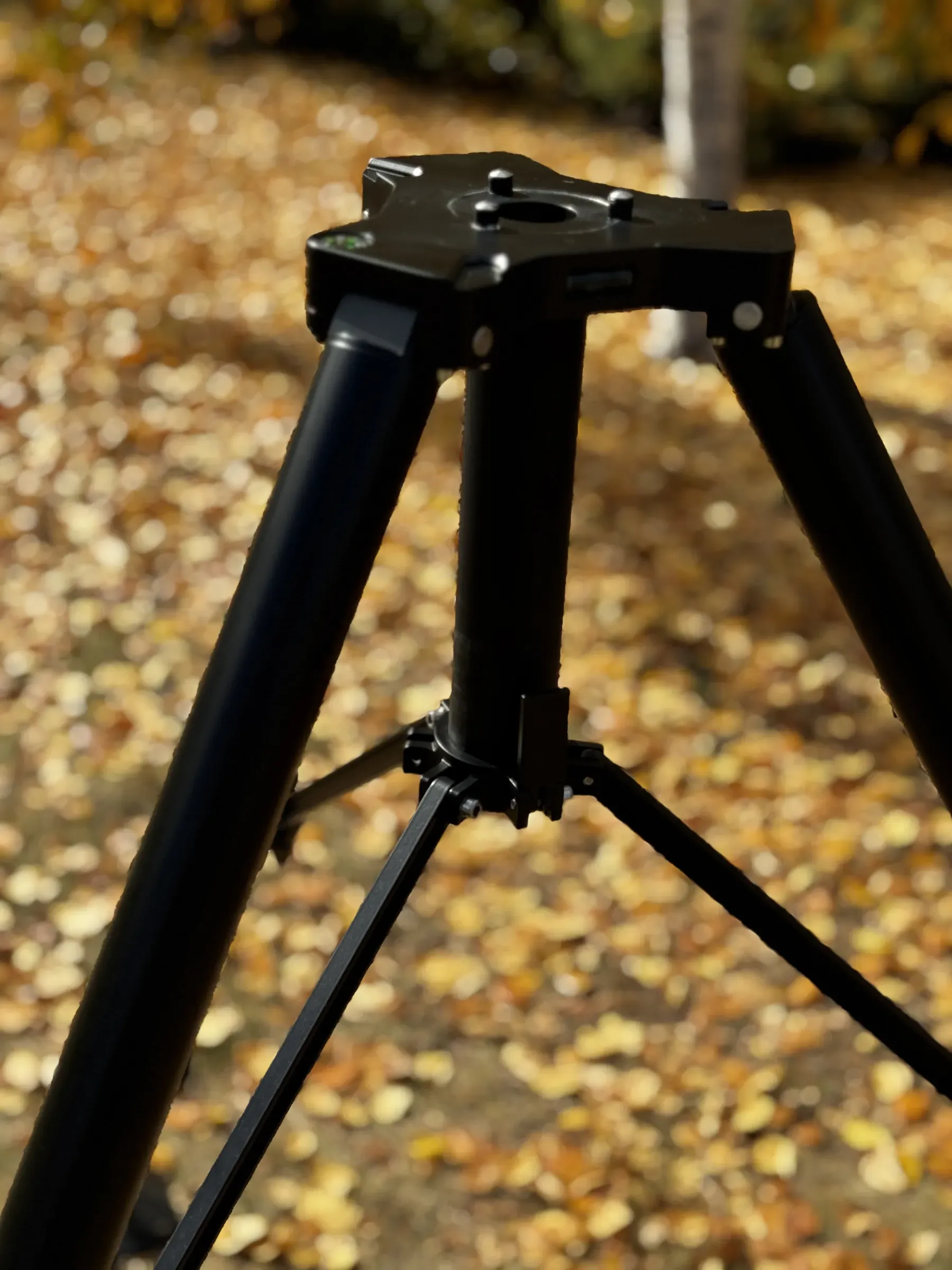 Bulanık sonbahar ormanına karşı tripod baş plakası ve üst ayakların alçak açıdan detayı